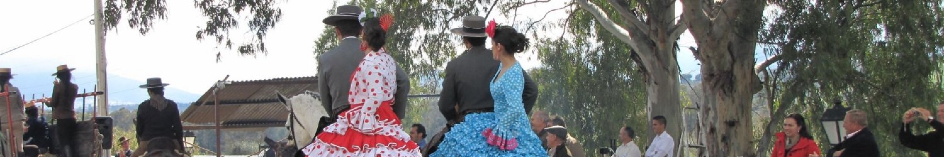 Andalusische paarden