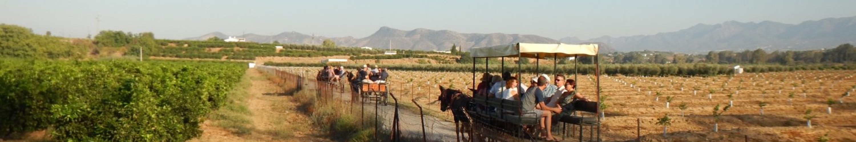 koetstocht Andalusië