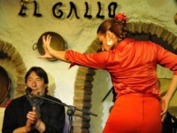 flamenco in grot in Granada 