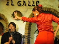 flamenco in grot in Granada 