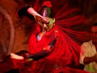 flamenco