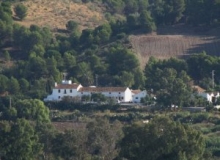 Pizarra cortijo