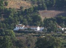 Pizarra cortijo