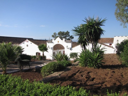 Cortijo Del Arte