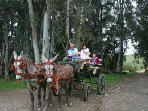 cortijo del arte 